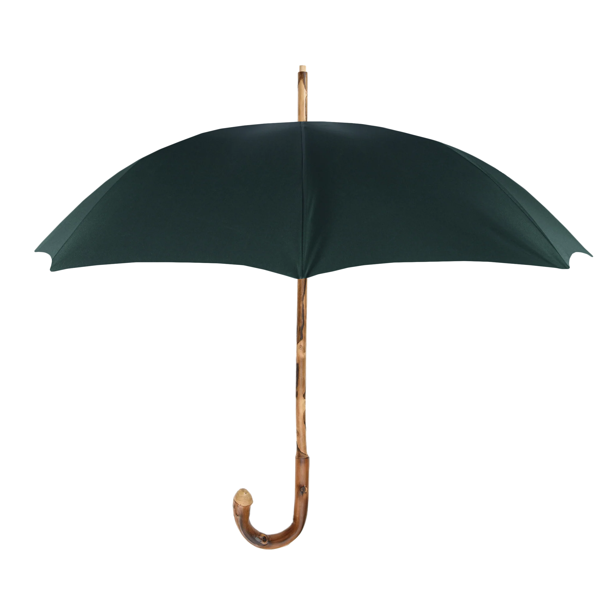 Custom Francesco Maglia Umbrella